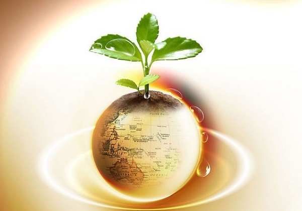 施纳贝尔称借贷成本已处于合适水平